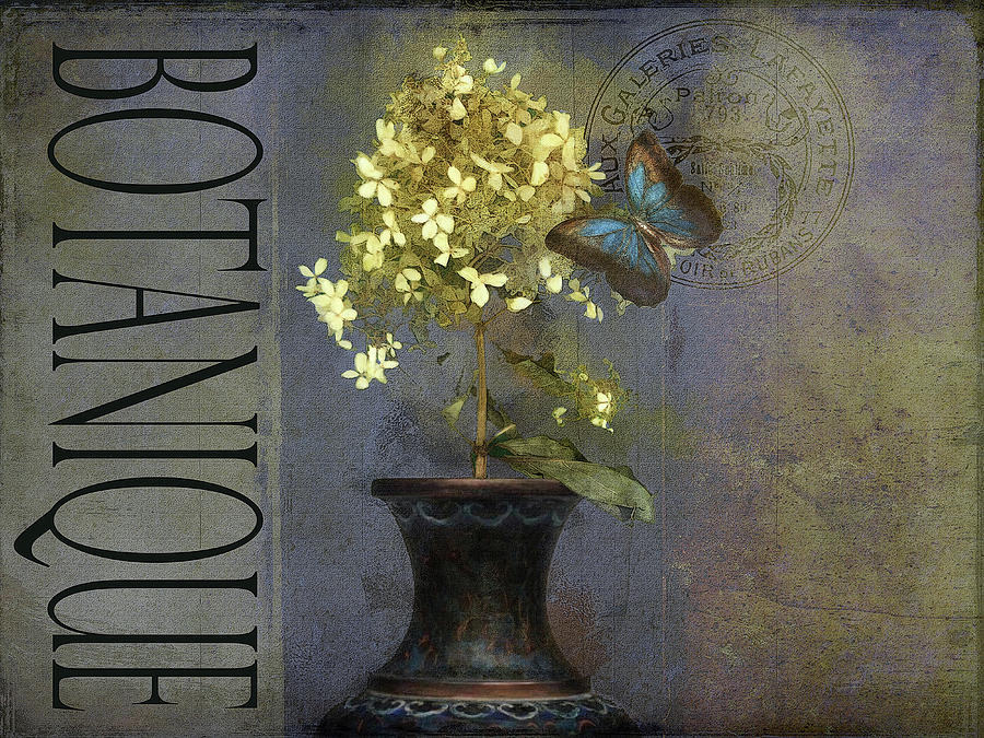 Botanique by Orenda Pixel Design Botanique by Orenda Pixel Design