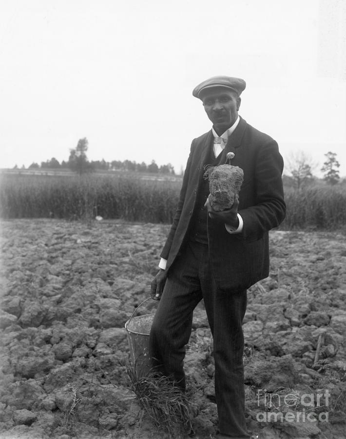 Botanist George Washington Carver by Bettmann