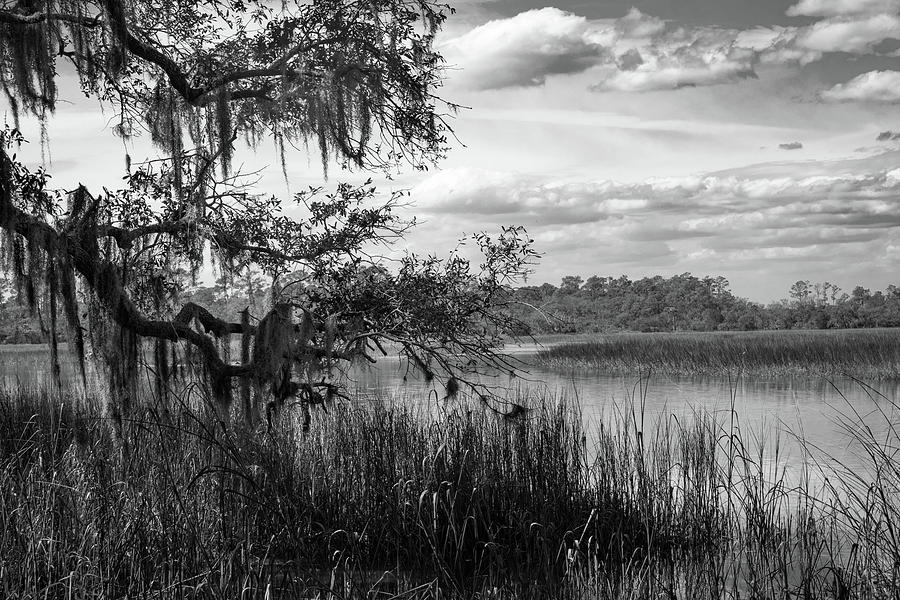 Botany Bay Lagoone Photograph by Steven Ware - Fine Art America