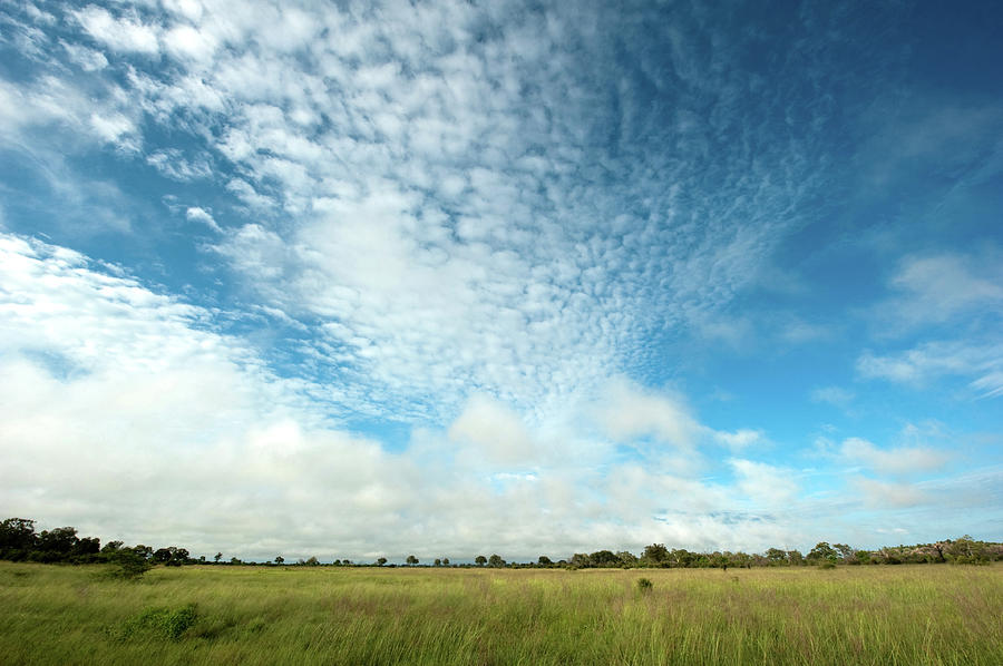 Botswana Landscape Photograph by Stevenallan
