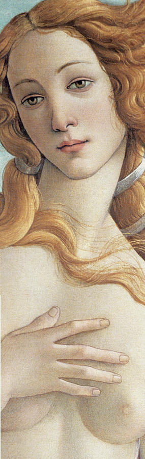 Sandro Botticelli Mixed Media - Botticelli-birth Of Venus-detail by Portfolio Arts Group