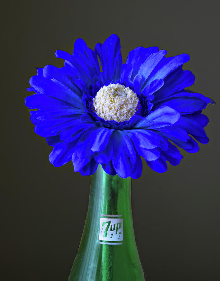 Bottle of Flower Photograph by Dennis Dugan