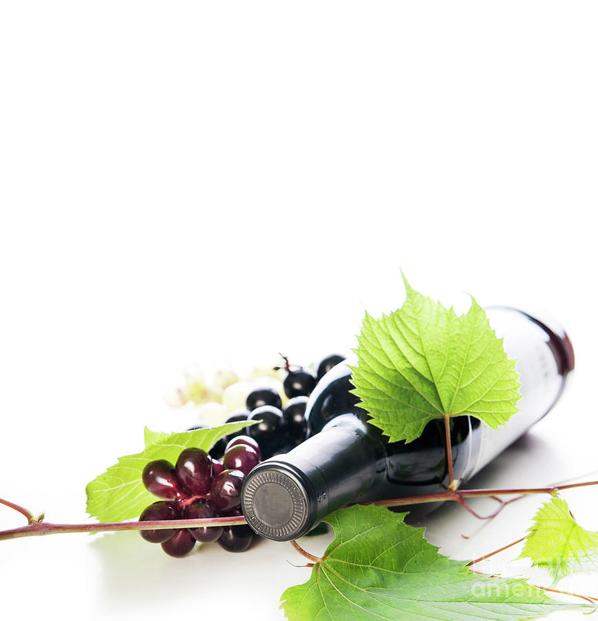 Bottle of luxury red wine and grape vine isolated over white bac Photograph by Jelena Jovanovic