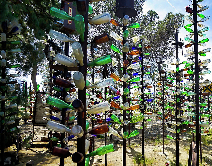 Bottle Trees Off Route 66 Photograph by Steve Benefiel