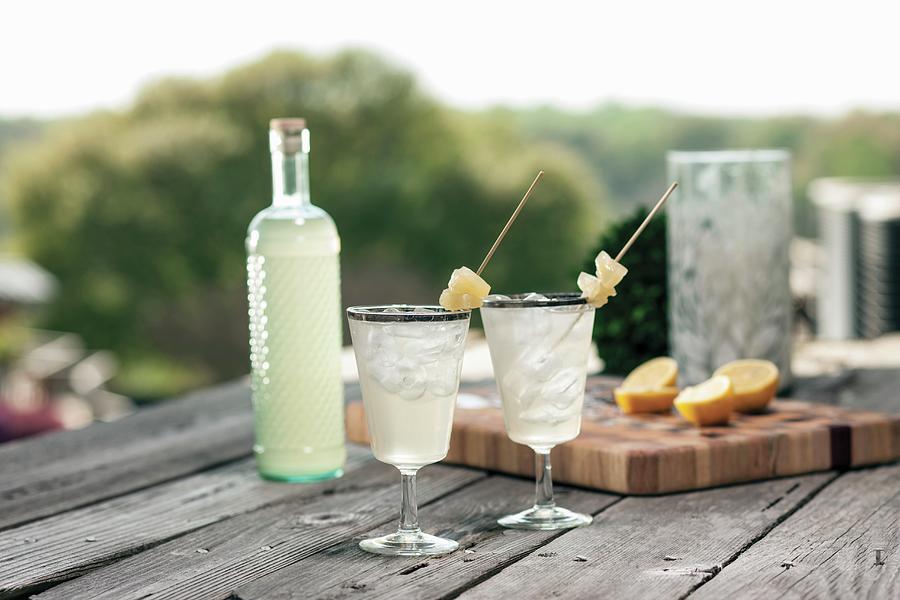 Bottled Gin Punch With Pineapple Garnish In Silver Rimmed Glasses Outdoor Photograph by Cindy Haigwood