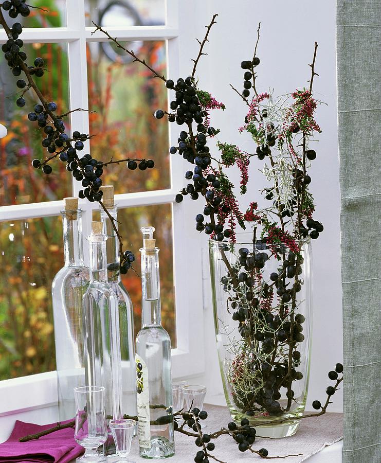 Bottles Of Sloe Gin, Sloe Branches And Heather Photograph by Friedrich Strauss