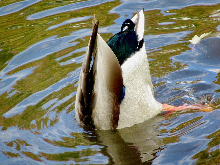 Bottoms Up by Stephanie Moore Bottoms Up by Stephanie Moore