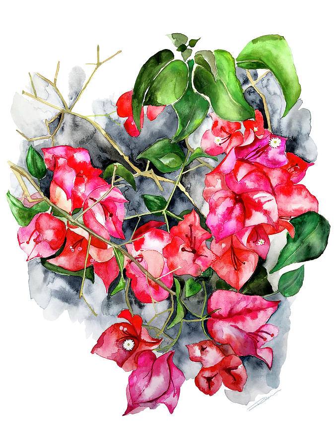 Flowers Still Life Painting - Bougainvillea Burst  by Roleen Senic
