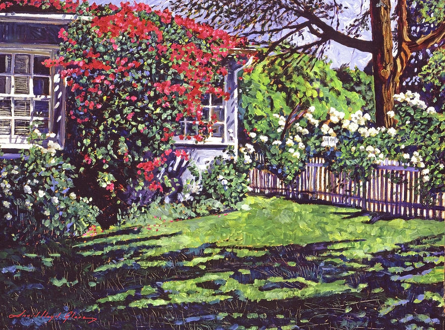 Bougainvillea Cottage Painting by David Lloyd Glover
