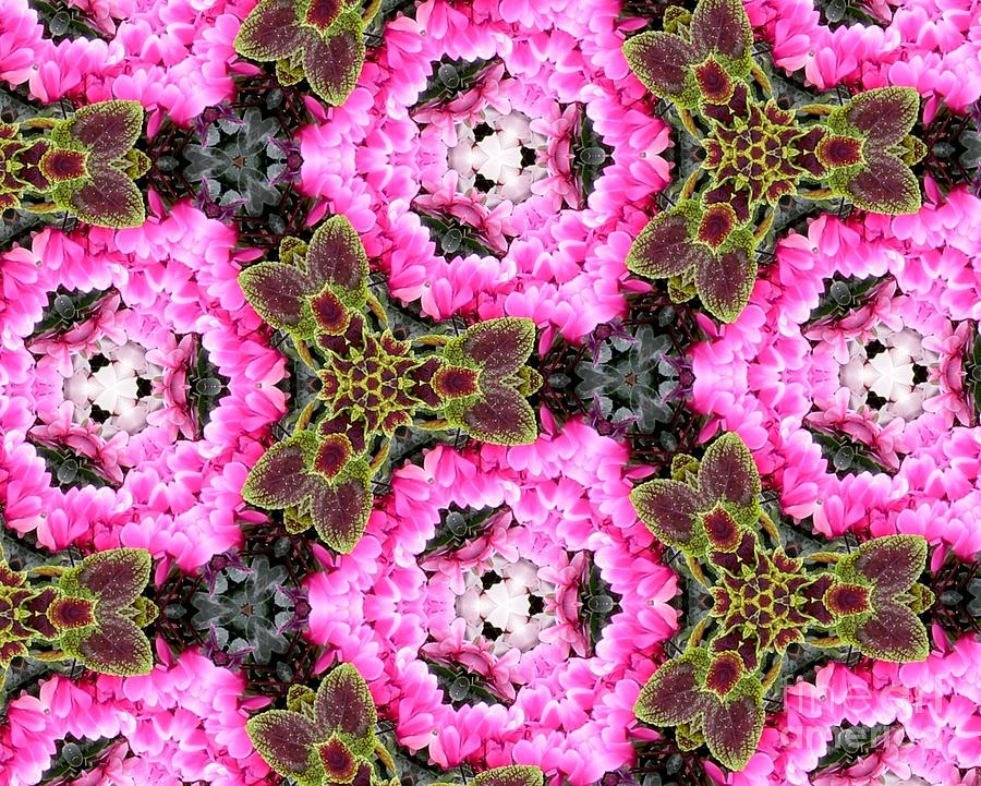 Bougainvillea Flowers and Coleus Kaleidoscope Abstract Photograph by Rose Santuci-Sofranko