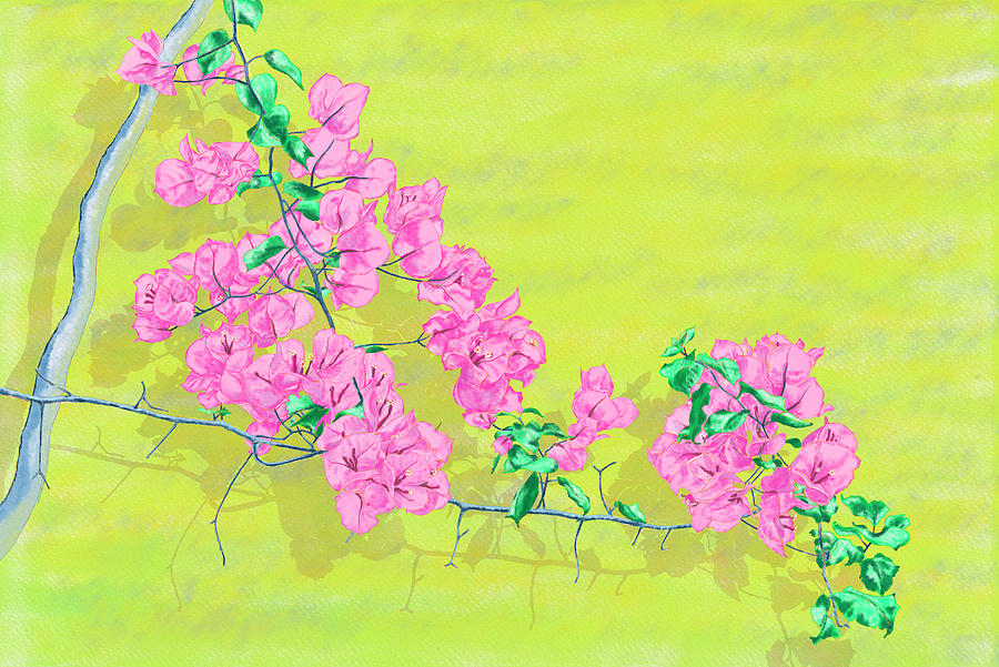 Bougainvillea on yellow wallwatercolor, digital watercolor, digital art, Rebelle, tea time, porcelai by Xavier Francois Bougainvillea on yellow wallwatercolor, digital watercolor, digital art, Rebelle, tea time, porcelai by Xavier Francois