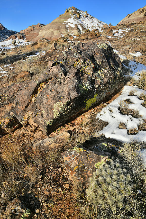 Boulder and Cactus on Ruby Mountain Photograph by Ray Mathis