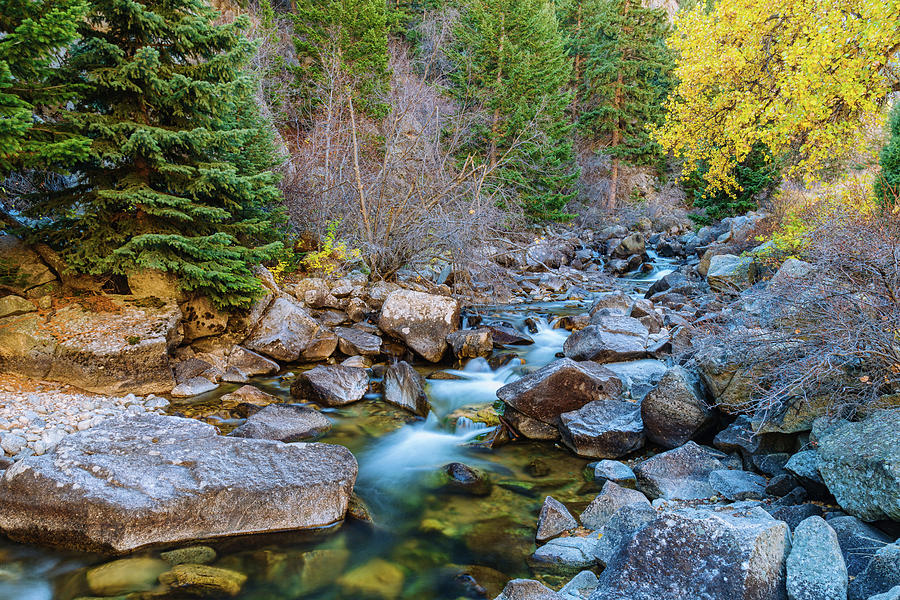 Boulder Creek Beauty Photograph by James BO Insogna