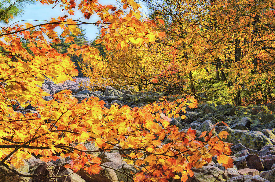 Fall Photograph - Boulder Field by JAMART Photography