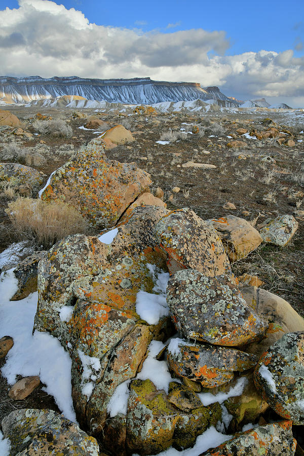 Boulder Field of the Book Cliffs Photograph by Ray Mathis