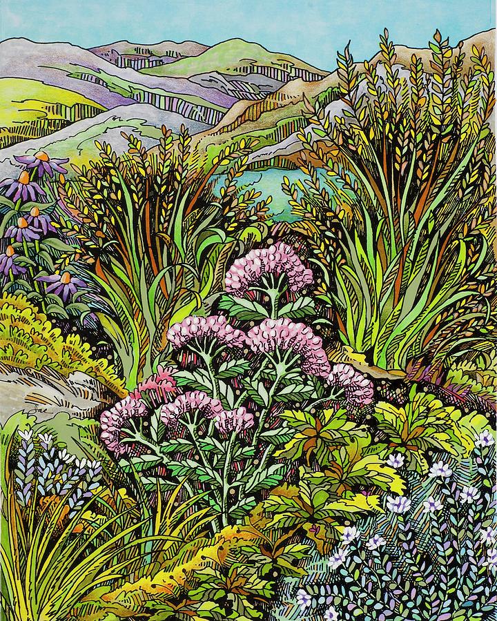 Boulder Foothills Garden Drawing by Janice A Larson