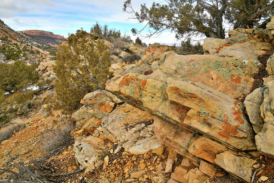 Boulder Ridge Overlooking East Entrance Photograph by Ray Mathis | Fine