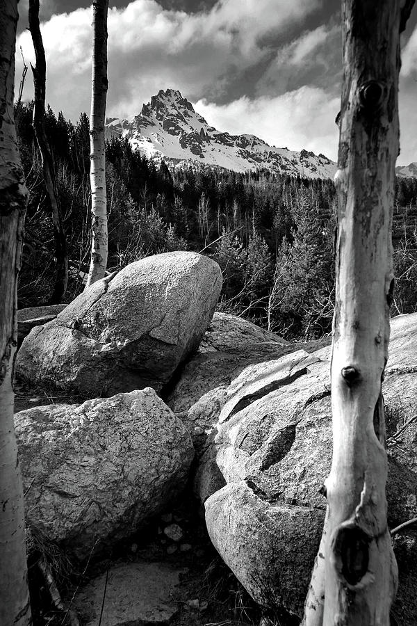 Boulders and Trees, Grand Tetons Photograph by JustJeffAz Photography