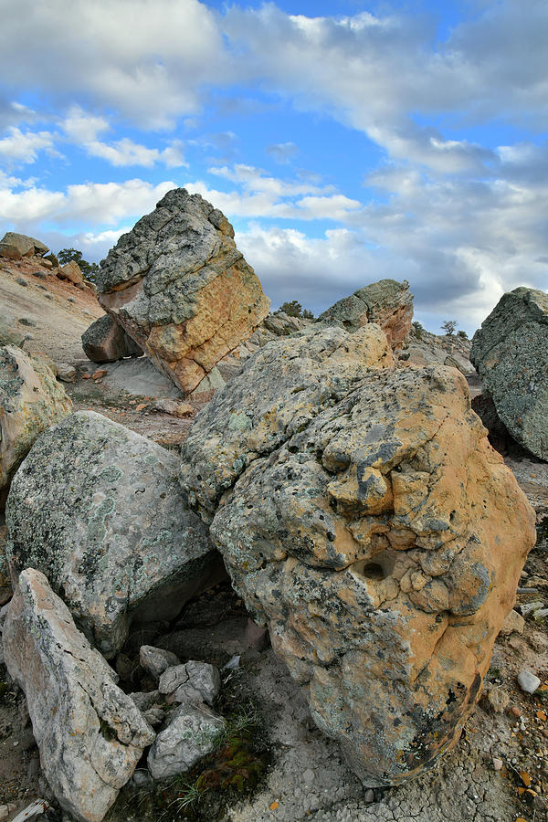 Boulders of the Bentonite Site in Grand Junction Photograph by Ray Mathis
