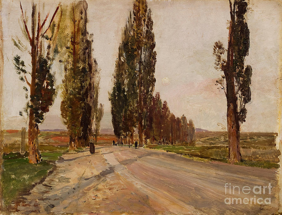 Boulevard Of Poplars Near Plankenberg Drawing by Heritage Images Boulevard Of Poplars Near Plankenberg Drawing by Heritage Images