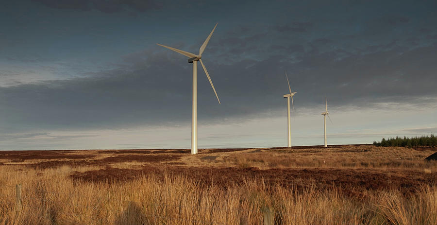Boulfruich Wind Farm, Houstry, Near Photograph by Iain Maclean