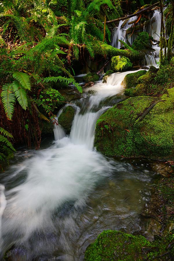Bounding Mountain Stream Waterfall Photograph by Brent Bunch