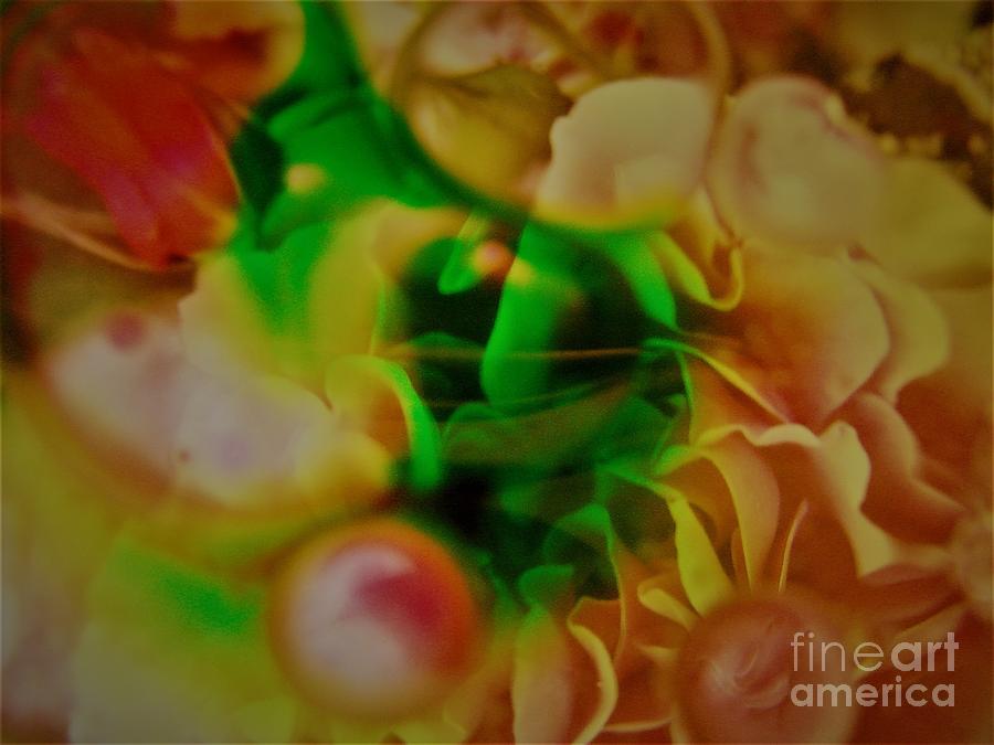Abstract Photograph - Bouquet Left Behind by Nordan Nielsen