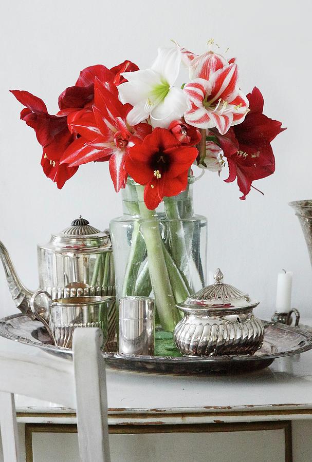 Bouquet Of Amaryllis Of Various Colours On Silver Tray Photograph by Susanna Rosn