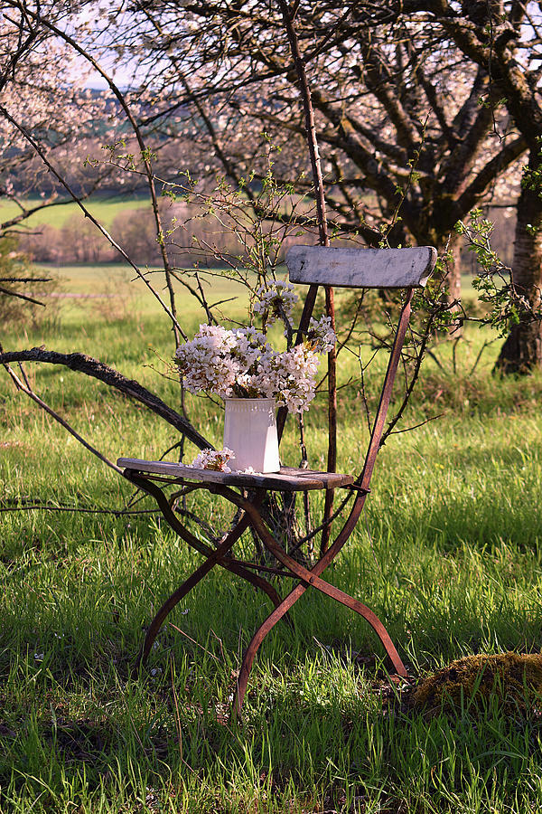 Bouquet Of Cherry Blossoms On A Chair In The Meadow Photograph by Christin By Hof 9