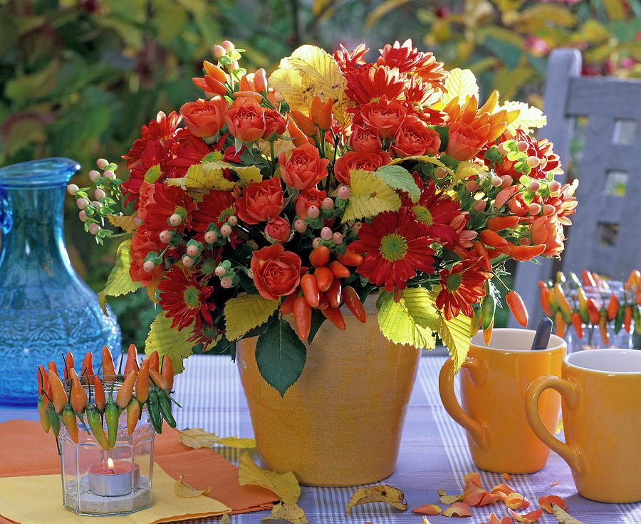 Bouquet Of Chrysanthemum, Hypericum Photograph by Friedrich Strauss ...