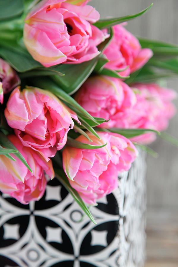 Bouquet Of Double Pink Tulips Photograph by Sonja Zelano
