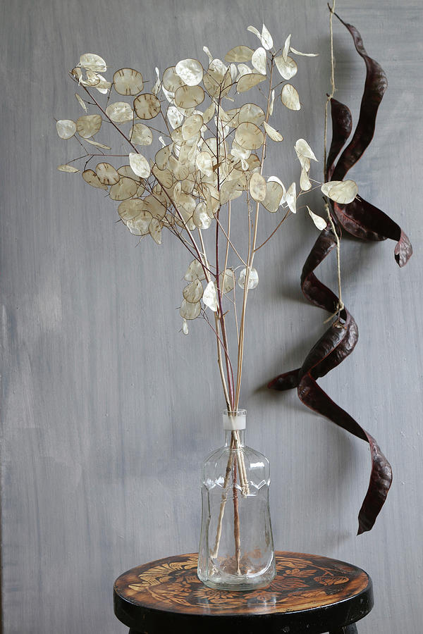 Bouquet Of Honesty In Glass Vase In Front Of Wall Decorated With Carob Pods Photograph by Regina Hippel