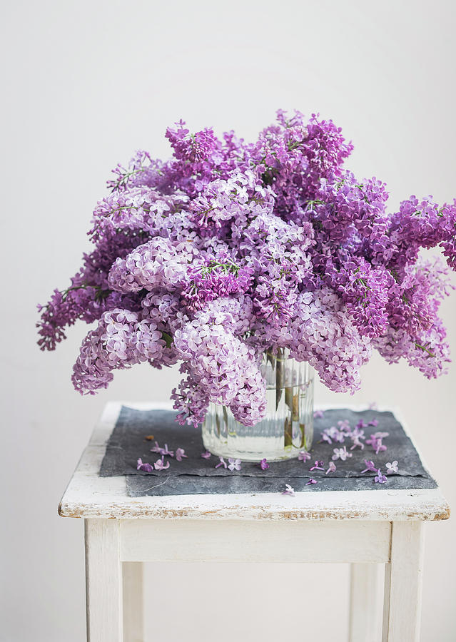 Bouquet Of Lilac Photograph by Ira Leoni