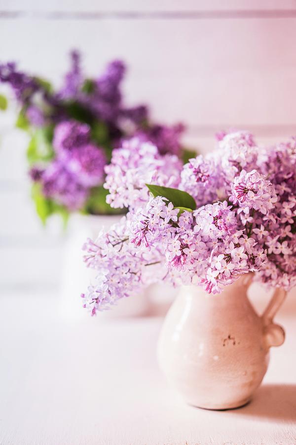 Bouquet Of Lilacs In Ceramic Jugs Photograph by Alena Haurylik