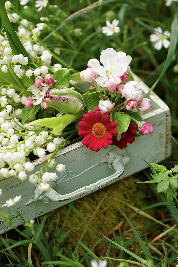 Bouquet Of Lilies Of The Valley, Apple Blossoms, Red Daisies And Parrot Tulips Photograph by Angelica Linnhoff