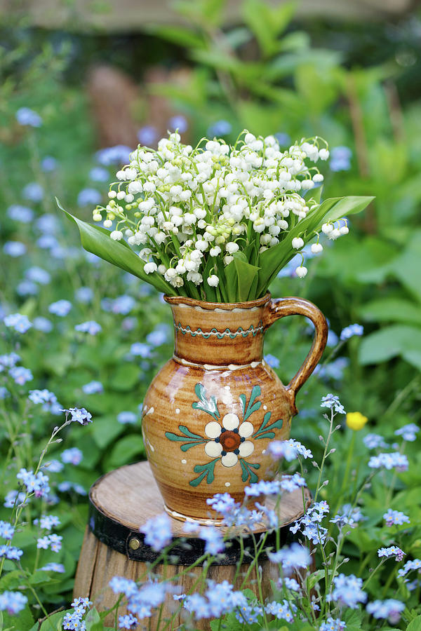 Bouquet Of Lily-of-the-valley In Rustic Ceramic Jug Photograph by Angelica Linnhoff