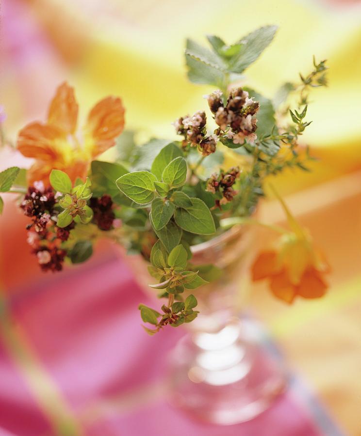 Bouquet Of Marjoram And Nasturtium Flowers Photograph by Michael Wissing