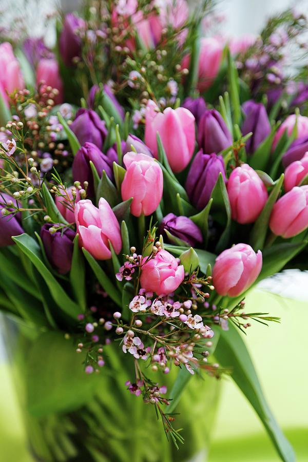 Bouquet Of Pink And Purple Tulips Photograph by Susanna Rosn
