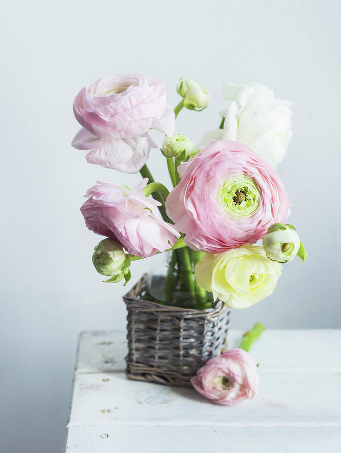 Bouquet Of Ranunculus In Vase Photograph by Ira Leoni
