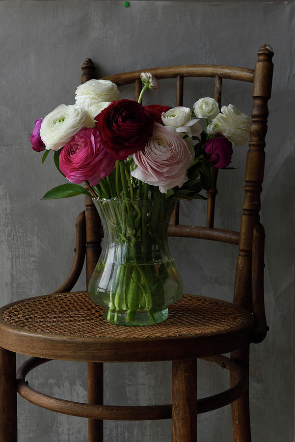 Bouquet Of Ranunculus On A Chair Photograph by Diana Lovring