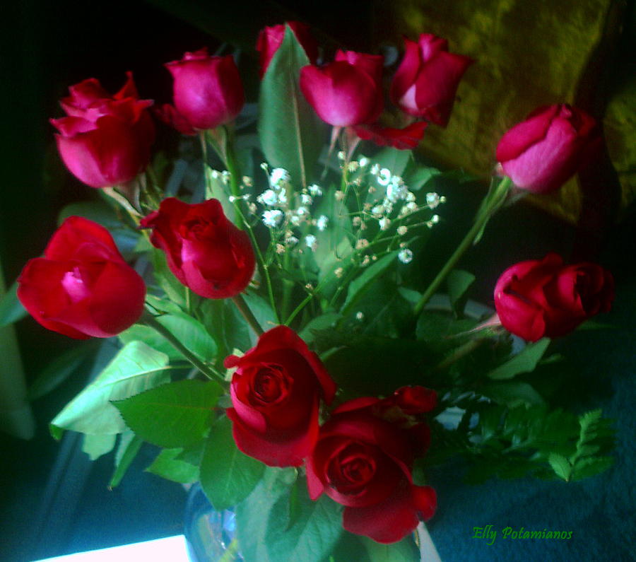 Bouquet of Red Roses Photograph by Elly Potamianos