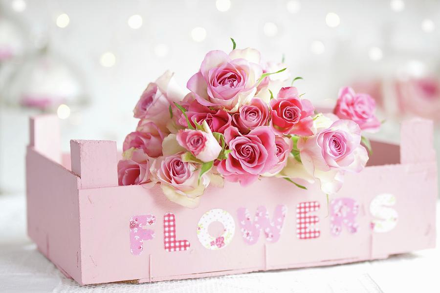 Bouquet Of Roses In Fruit Crate Painted Pastel Pink And Labelled With Decorative Lettering Spelling flowers Photograph by Angelica Linnhoff