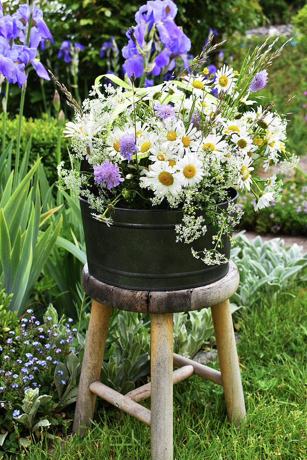 Bouquet Of Spring Marguerite Daisies, Knautia, Grass, And Caraway On A Stool In The Garden Photograph by Susan Haag