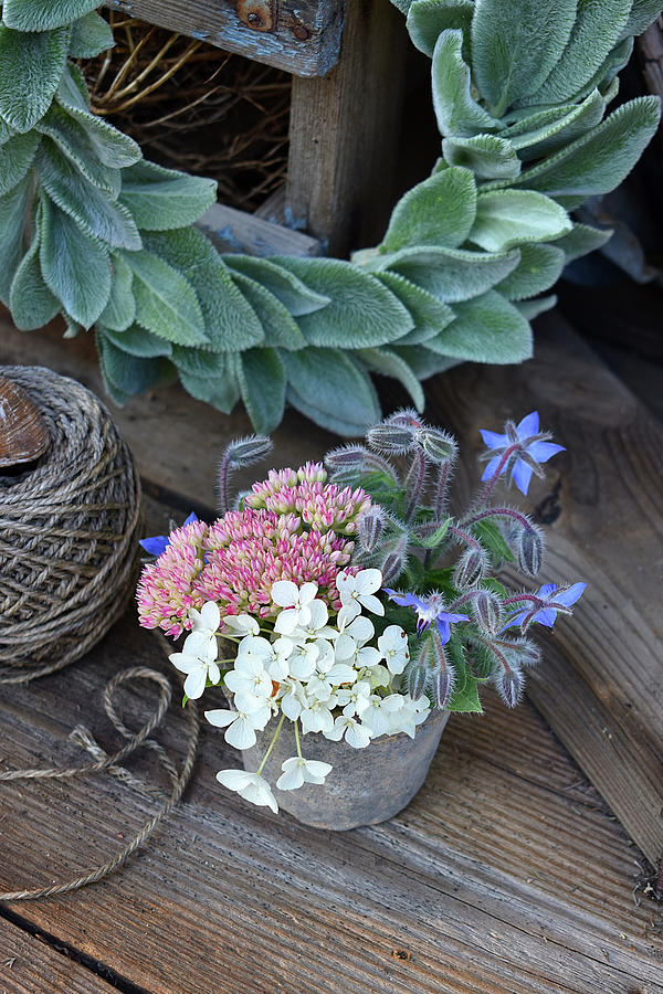 Bouquet Of Stonecrop, Borage And Hydrangea Next To Wreath Of Lambs-ear Photograph by Christin By Hof 9