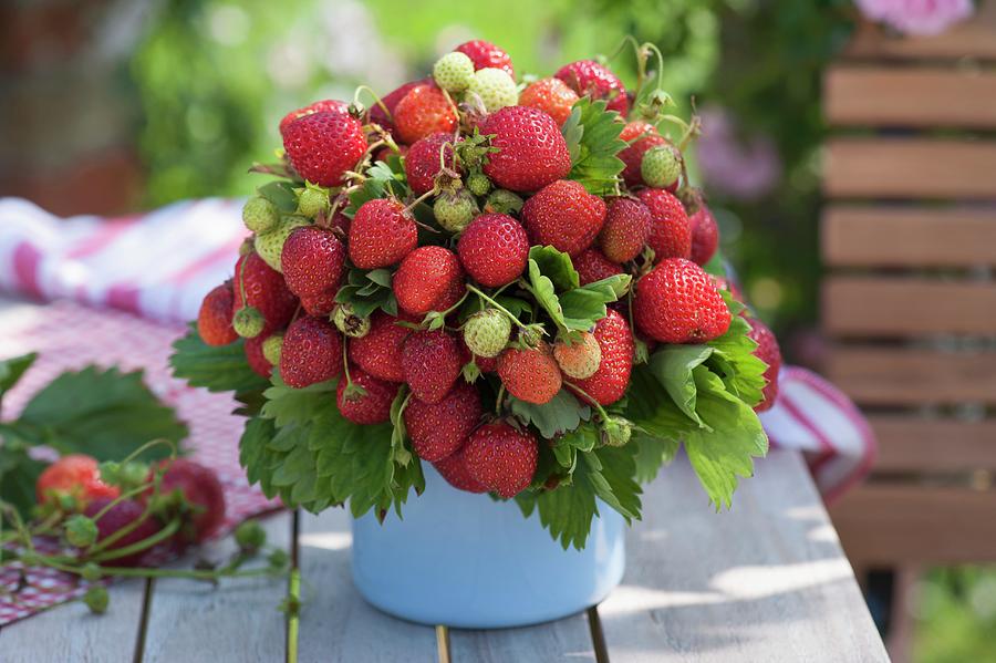 Bouquet Of Strawberries In Pot Photograph by Friedrich Strauss
