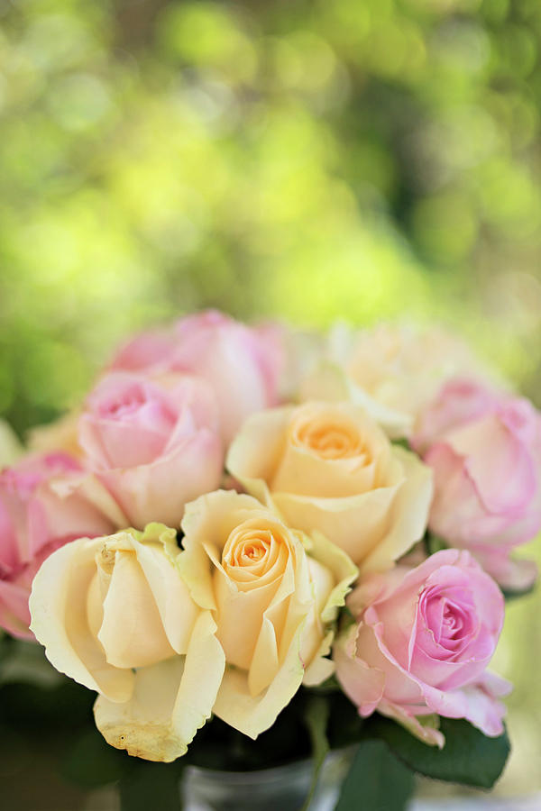 Bouquet Of Summery Roses On Table Photograph by Cecilia Mller