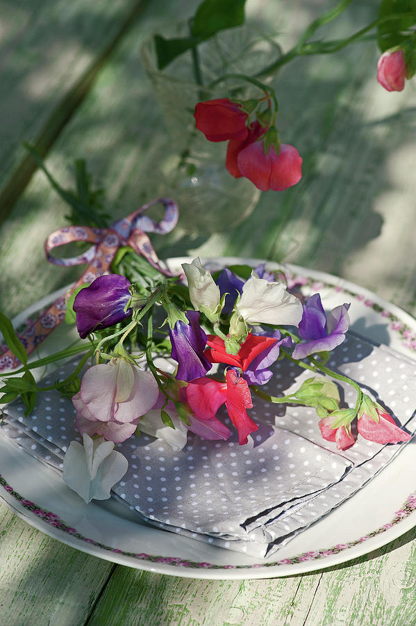 Bouquet Of Sweet Peas As Napkin Decorations Photograph by Elisabeth Berkau