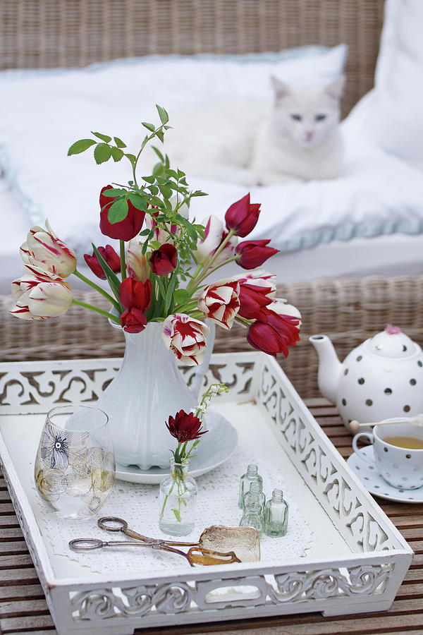 Cat Photograph - Bouquet Of Tulips With A Wild Rose Branch On A White Wooden Tray by Angelica Linnhoff