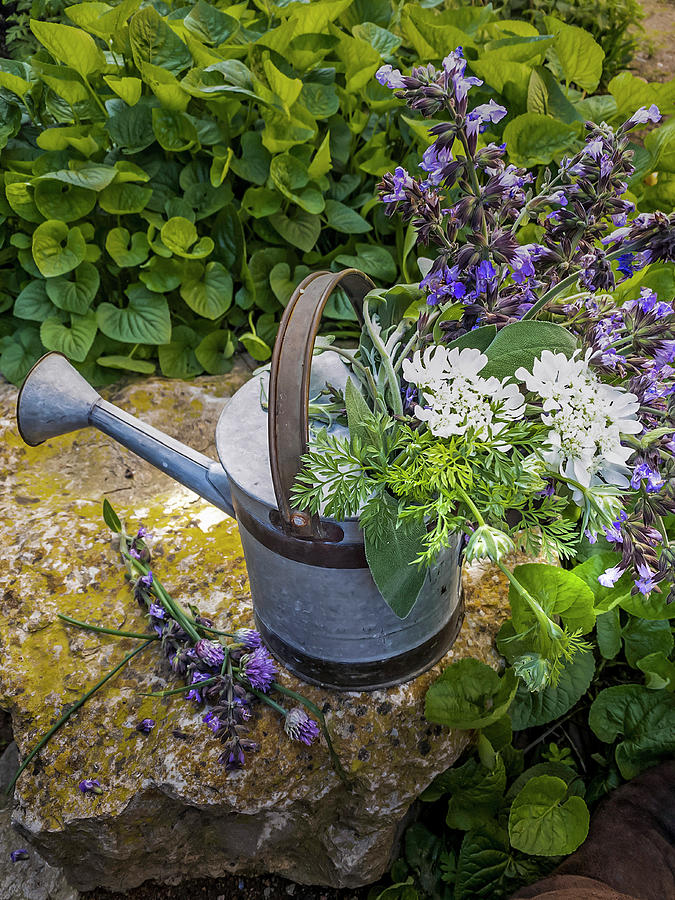 Bouquet Of White And Purple Garden Flowers In Vintage Watering Can Photograph by Rosa Hereu