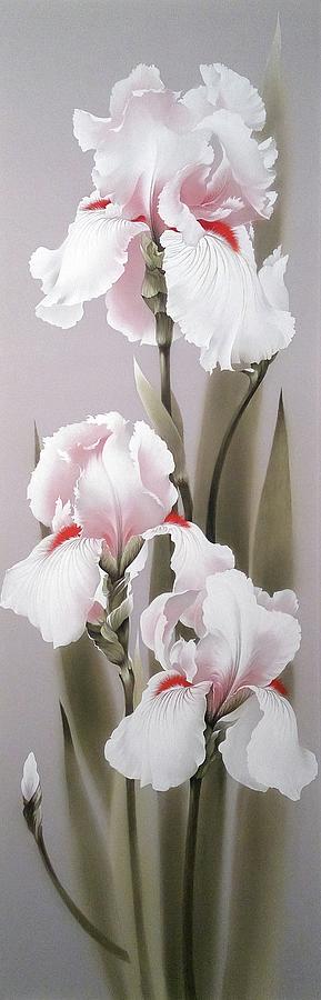 Iris Painting - Bouquet of White Irises by Alina Oseeva